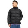 JACK AND JONES Vestes Puffa Toby Homme Noir