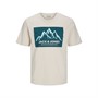 JACK AND JONES T-shirt Homme Moonbeam