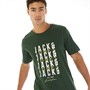 JACK & JONES T-Shirt Delvin Mountain View Herren