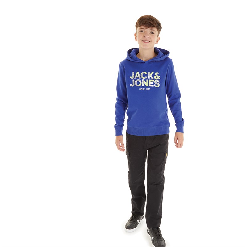 JACK & JONES Drenge James Hoodie Blå