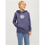 JACK & JONES Drenge Frederiksberg Hoodie Nattesky Blå