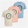 JACK & JONES Herre Theo T-shirts Flerfarvet