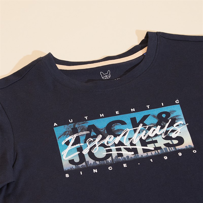 JACK & JONES Boys Colton Print T-Shirt Sky Captain