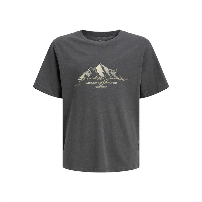 JACK & JONES Junge Berge Zwei Pack T Shirts Silver Mink/Asphalt