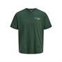 JACK & JONES Mens Bradley Park Motel Short Sleeve T-Shirt Sycamore