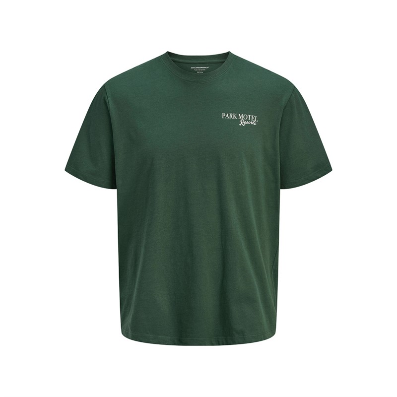 JACK & JONES Mens Bradley Park Motel Short Sleeve T-Shirt Sycamore