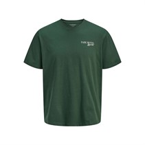 JACK & JONES Mens Bradley Park Motel Short Sleeve T-Shirt Sycamore