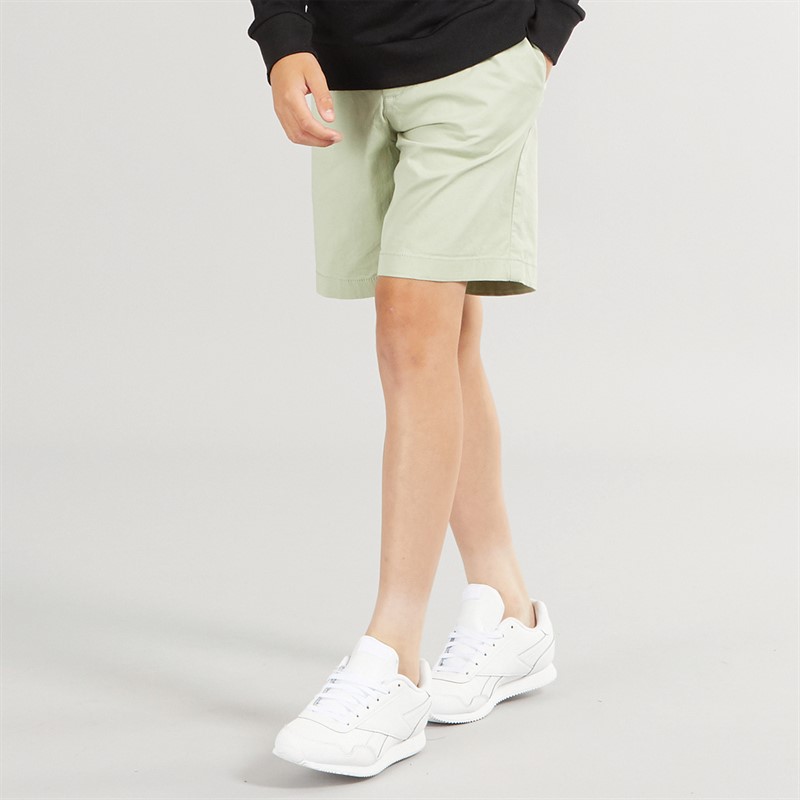 JACK & JONES Drenge Jaiden Campaign Hybrid Shorts Desert Sage