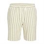 JACK & JONES Drenge Jaiden Coba Stribede Shorts Cedar