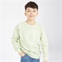 Calvin Klein Jeans Boys Maxi Hero Flock Logo Sweatshirt Celadon Green