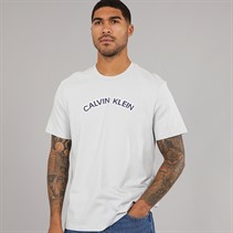 Calvin Klein Jeans Mens T-Shirt Gray Violet