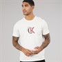 Calvin Klein Jeans Mens Short Sleeve CKJ Logo Graphic T-Shirt White Greige
