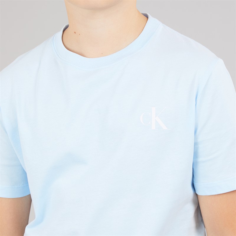 Calvin Klein Jeans Boys Two Pack T-Shirts Tigers Eye F&T Tigers Eye