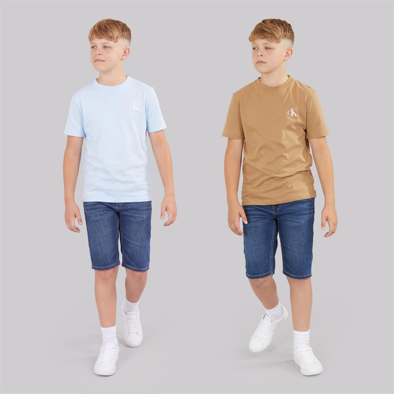 Calvin Klein Jeans Boys Two Pack T-Shirts Tigers Eye F&T Tigers Eye