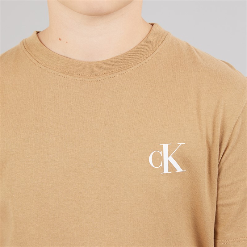Calvin Klein Jeans Boys Two Pack T-Shirts Tigers Eye F&T Tigers Eye