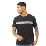 DKNY Tee-Shirt Seahawks Homme Noir