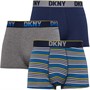 DKNY Boxers Grafton Trunks Homme Multicolore