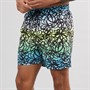 DKNY Mens Tioman Printed Swim Shorts Blue/Green Print