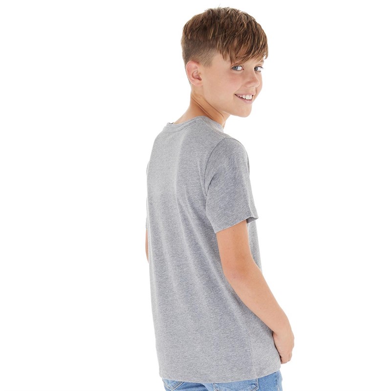 Kangaroo Poo Boys VW T-Shirt Grey Marl