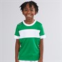 Kappa Boys Remilio 2 Training Jersey Green/White