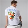 Kings Will Dream Mens Citrus Relaxed Fit T-Shirt White