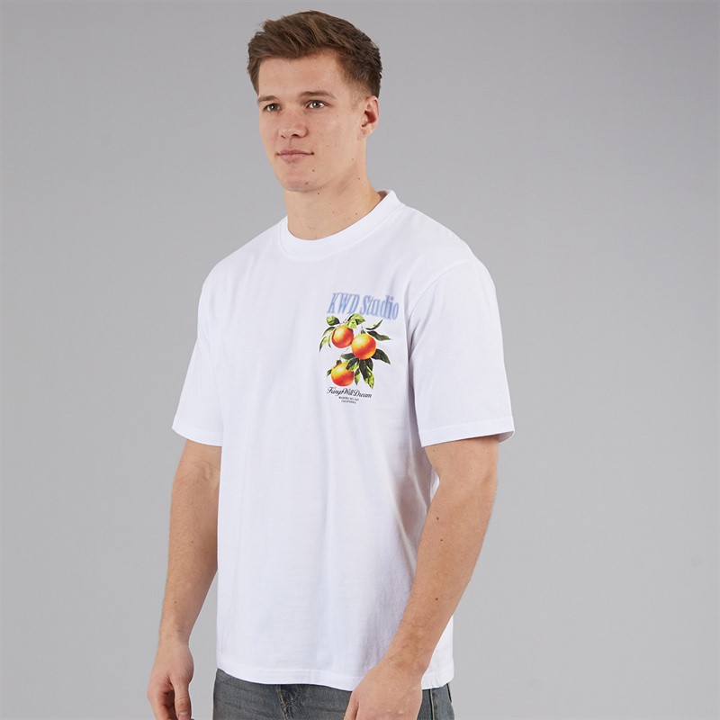 Kings Will Dream Mens Citrus Relaxed Fit T-Shirt White
