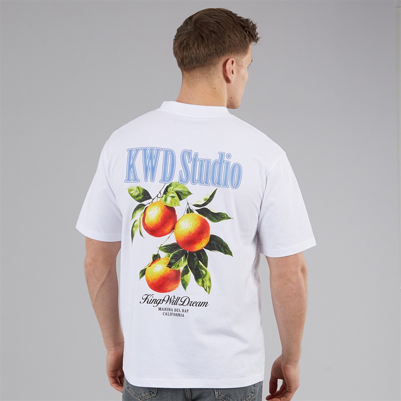 Kings Will Dream Mens Citrus Relaxed Fit T-Shirt White