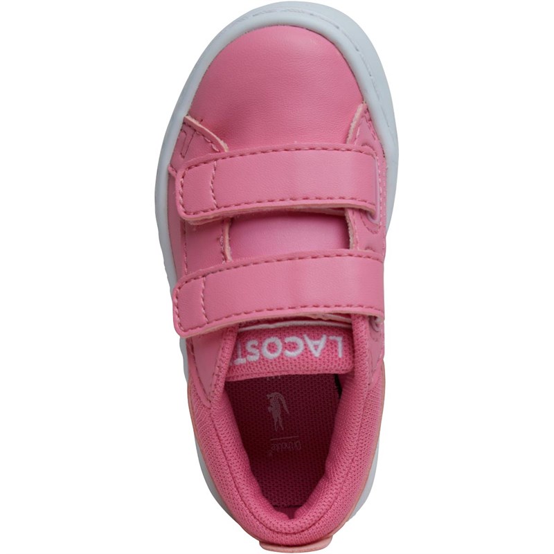 lacoste straightset rose