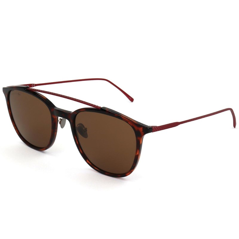 Lacoste Mens Sunglasses Havana