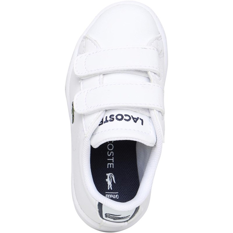 basket bébé fille lacoste
