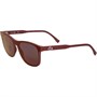 Lacoste Lunettes de soleil Homme Bordeaux