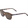 Lacoste Mens Sunglasses Havana