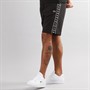 Lacoste Mens Shorts Black