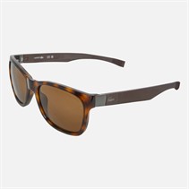 Lacoste Sonnenbrille Havana