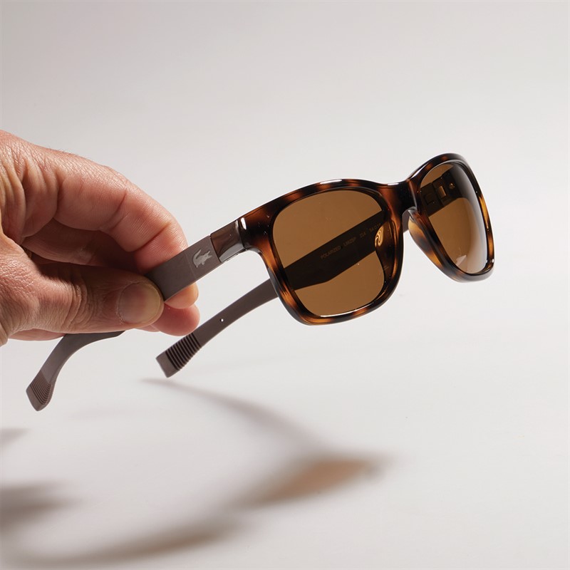 Lacoste Sol briller Havana
