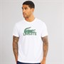 Lacoste Mens Cotton T-Shirt White/Green