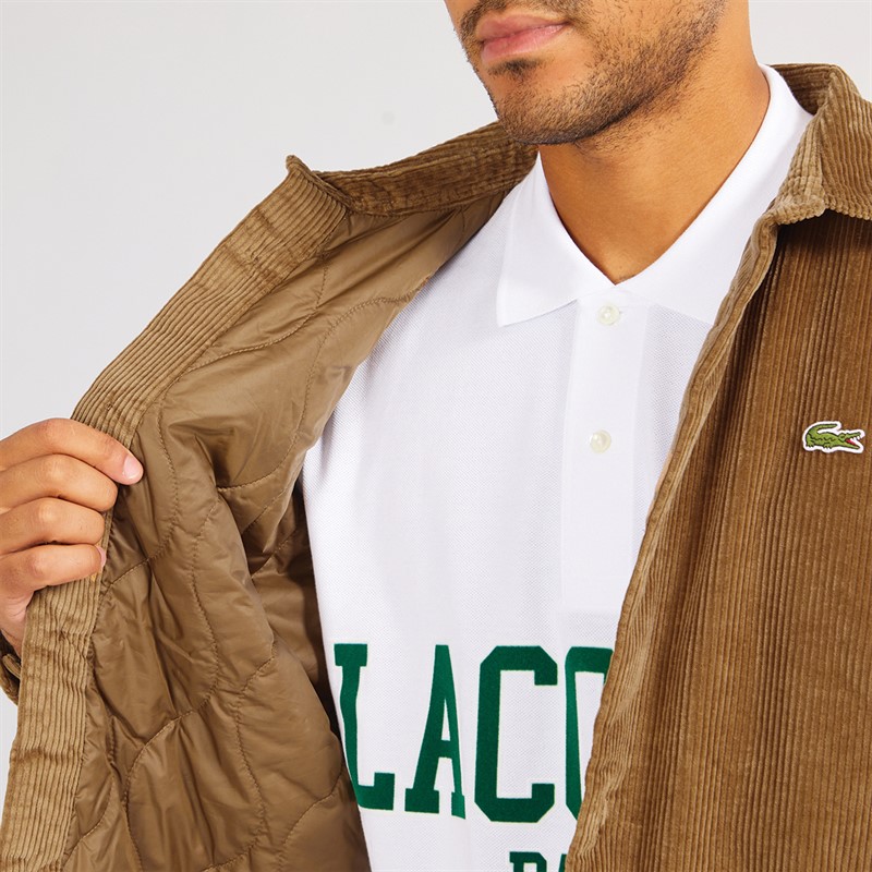 Lacoste Mens Long Sleeve Casual Shirt Cookie