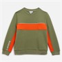 Lacoste Kids Sweatshirts Khaki/Buoy