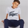 Lacoste Boys T-Shirt Silver Chine/Navy Blue