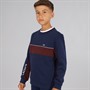 Lacoste Boys Sweatshirts Navy Blue/Expresso