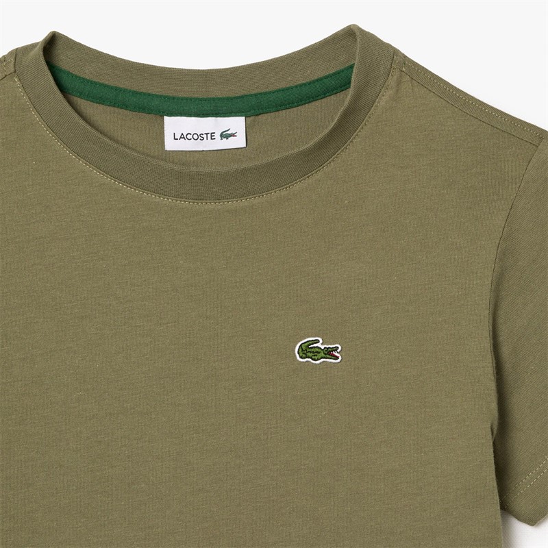 Lacoste Boys T-Shirt Khaki Kaki
