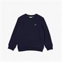 Lacoste Boys Sweatshirt Marine