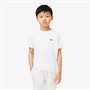 Lacoste Boys T-Shirt Blanc