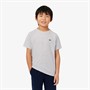 Lacoste Boys T-Shirt Argent Chine