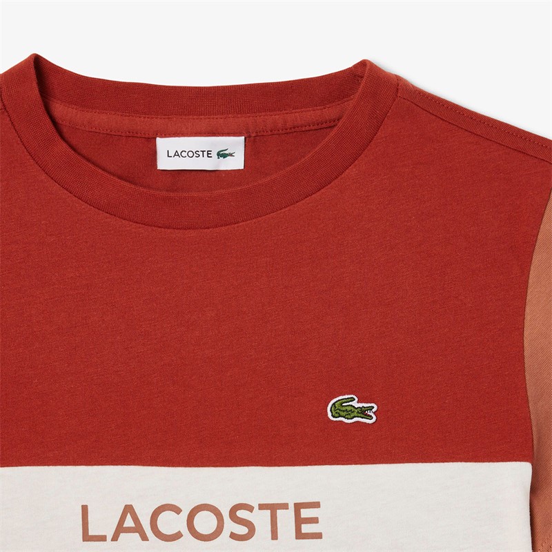 Lacoste Boys T-Shirt Iberis/Piste/Laponie Iberis/Piste-Laponie