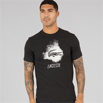 Lacoste Mens Graphic T-Shirt Black