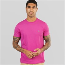 Lacoste Mens T-Shirt Malva