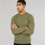 Lacoste Mens Sweatshirt Khaki