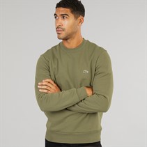 Lacoste Mens Sweatshirt Khaki