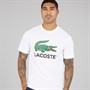 Lacoste Mens Logo T-Shirt White